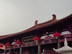 -神州牡丹园