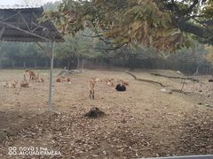 -西安秦岭野生动物园
