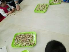 -小问号·科学启蒙·逻辑思维·阅读素养·口才演讲(杨浦合生汇中心)
