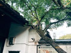 -绍兴鲁迅故里·沈园景区