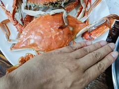 -叶存利海鲜大馅饺子(海宁路总店)