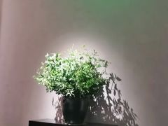 -山里亲戚(淞虹路店)