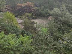 -北京凤凰岭