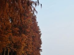 -东湖听涛景区