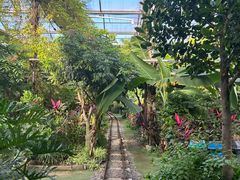 -呀路古热带植物园
