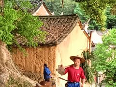 -杨家堂村