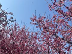 -牛岗山公园