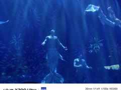 -华夏文旅海洋公园