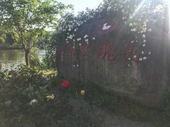 -鹅湖玫瑰文化园