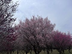 -蜀冈西峰生态公园