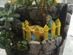 -宝鸡东道花鸟鱼虫市场(吉利花园商场店)