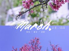 -小南山公园
