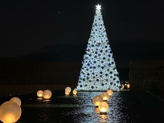 -三亚太阳湾柏悦酒店