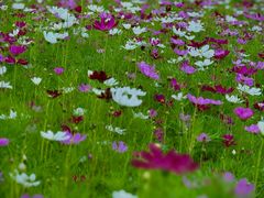 -北沙滩(地铁站)