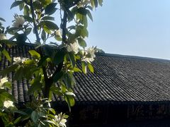 -峨眉山报国寺