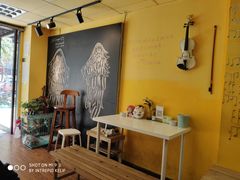 -志龙皇冠吃货椰子铺