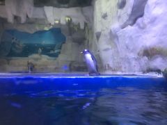 -华夏文旅西安度假区