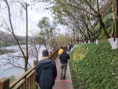 -重庆彩云湖湿地公园