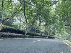 -宜兴龙背山森林公园