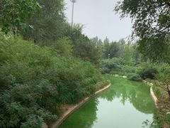 -燕郊植物园