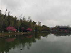 -北湖公园