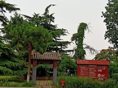 -赵州桥景区