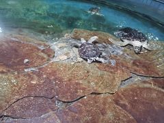 -北海·海洋之窗