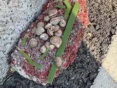 -天津东丽湖风景区