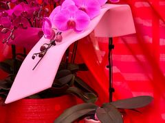 -信基豪泰酒店用品城