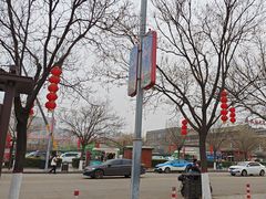-大槐树寻根祭祖园