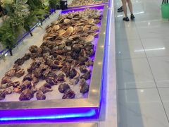 -春华海鲜城(广场西苑店)