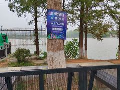 -洋湖国家湿地公园