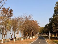 -阳澄湖半岛旅游度假区