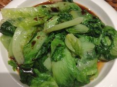 蚝油有机生菜-老广酒楼(樱花店)