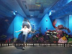 -船奇蒸汽海鲜·闽菜(八市海鲜总店)