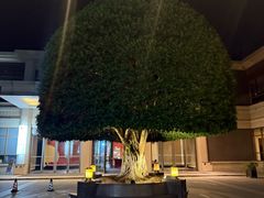 -成都安仁福朋喜来登酒店