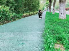 -泗洪洪泽湖湿地景区
