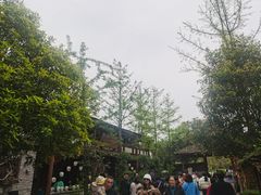 -青城甲(青城山店)