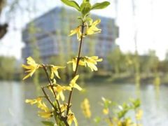 -重庆工商大学(南岸校区)