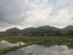 -红山村