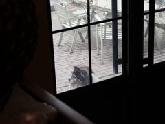 -可可露咖啡店(大东店)