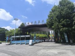 -黄海国家森林公园