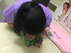 -瑞派康怡24h宠物医院·犬猫医疗中心·微创绝育(瑞景分院)