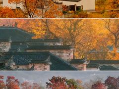 -塔川景区
