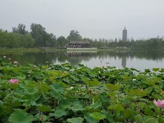-西海子公园