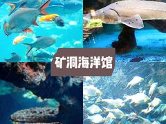 -长鹿旅游休博园