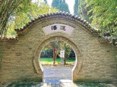 -函谷关历史文化旅游区