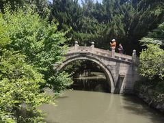 -上海醉白池公园