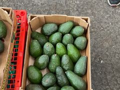 -西郊国际农产品交易中心