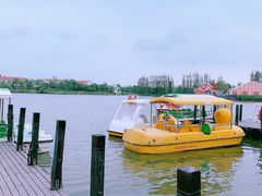 -上海长兴岛郊野公园